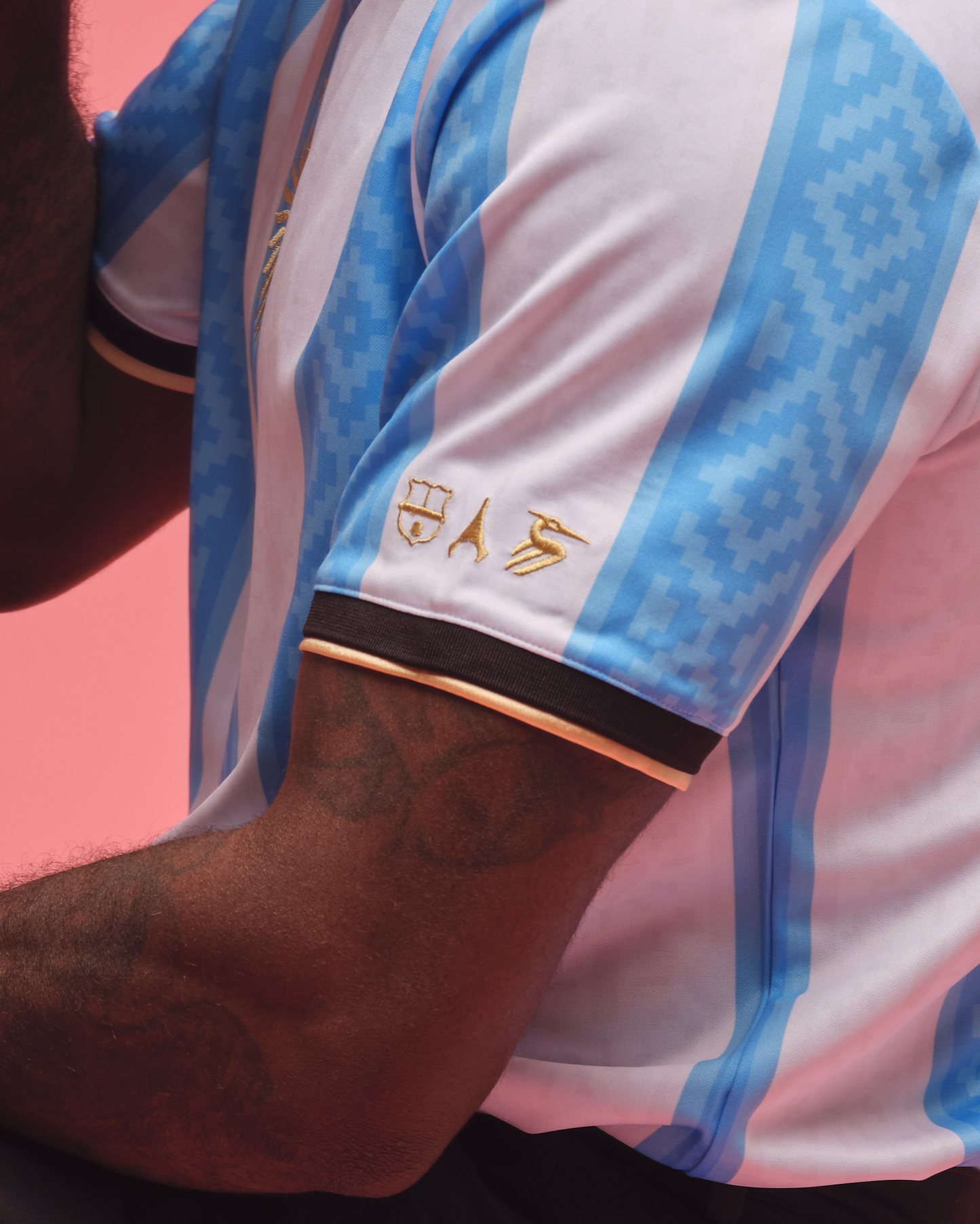 Camiseta Edición Especial Argentina Messi